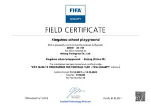 FIFA Quality Pro