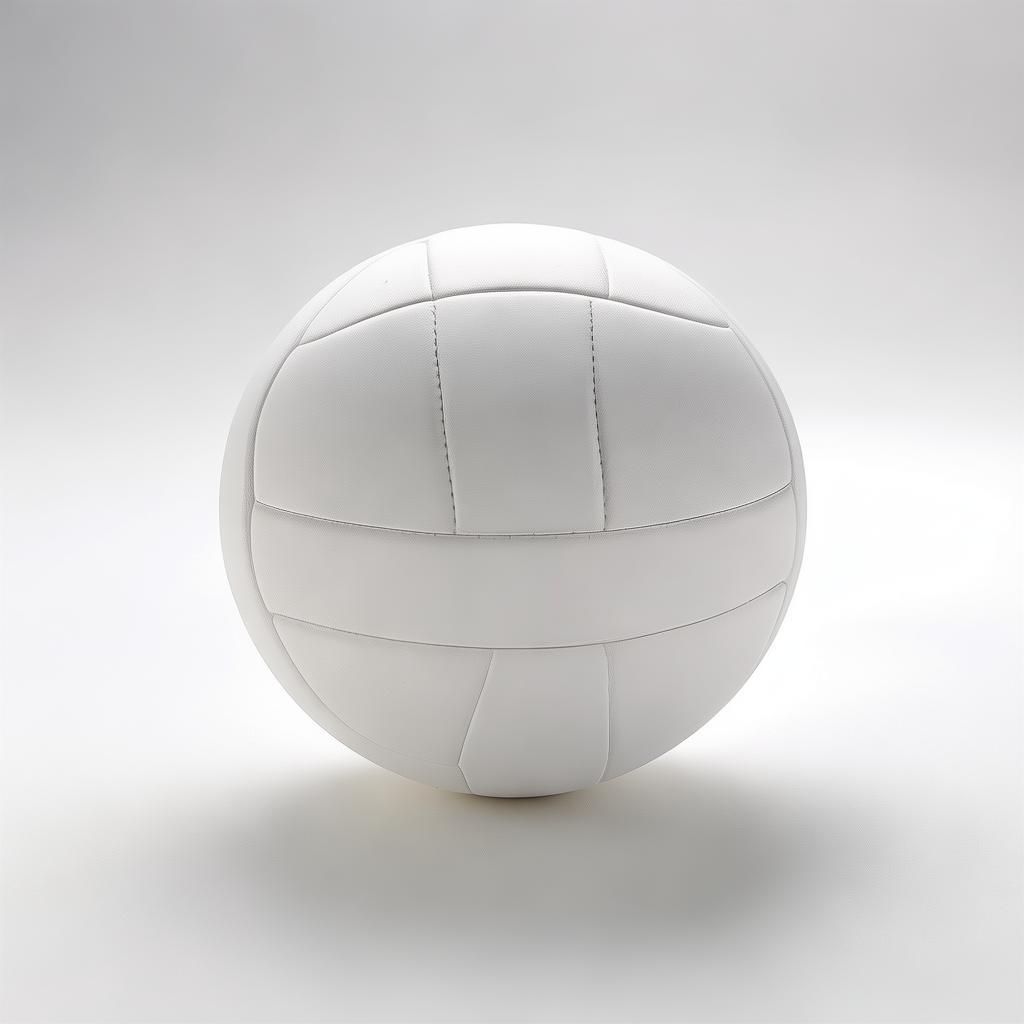 White Volleyball Ball