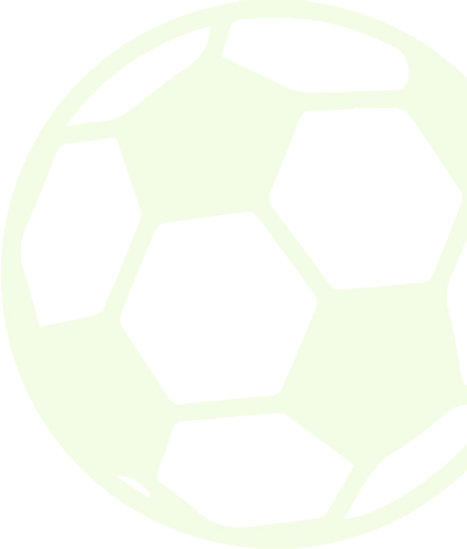 Sports Ball