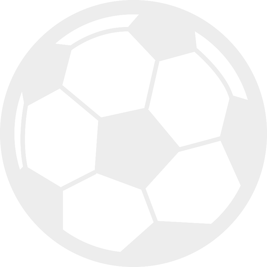 Sports Ball
